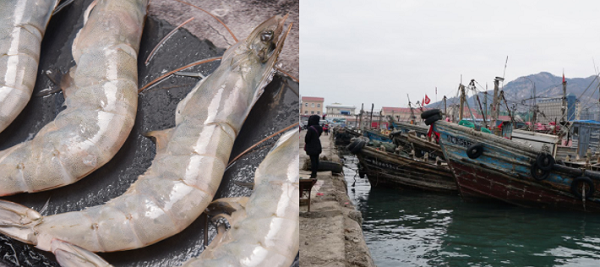 建造一個(gè)海鮮冷庫(kù)多少錢？
